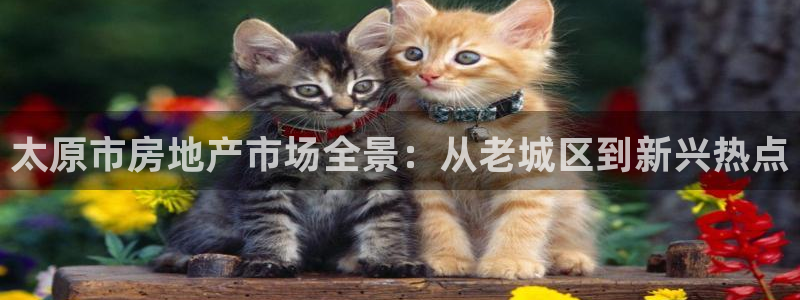 新宝5开好：太原市房地产市场全景：从老城区到新兴热点