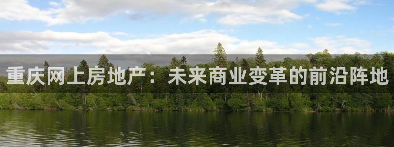 新宝5系列：重庆网上房地产：未来商业变革的前沿阵地