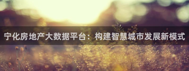 新宝h2O5O5O：宁化房地产大数据平台：构建智慧城市发展新