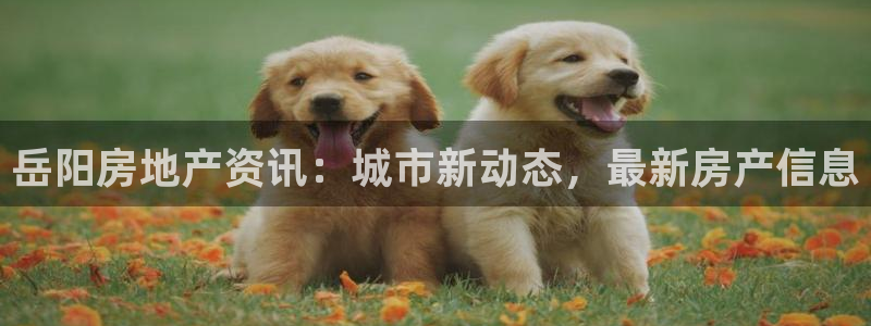 新宝5登录不了：岳阳房地产资讯：城市新动态，最新房产信息