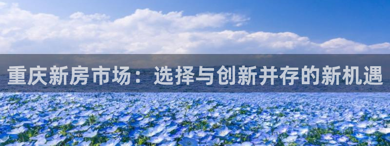 新宝5平台注册资金：重庆新房市场：选择与创新并存的新机遇