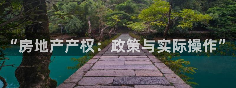 新宝5手机平台登陆