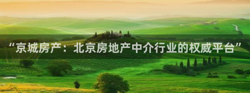 新宝5蒋74OOO5：“京城房产：北京房地产中介行业的权威平