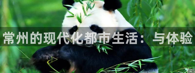 新宝5娱乐如：常州的现代化都市生活：与体验