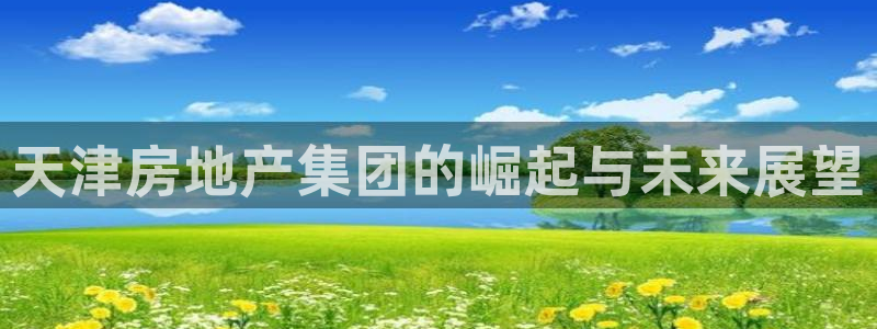 新宝5后：天津房地产集团的崛起与未来展望