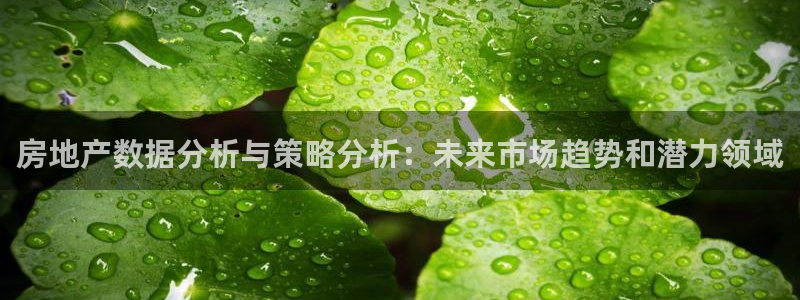 新宝5注册登录：房地产数据分析与策略分析：未来市场趋势和潜力