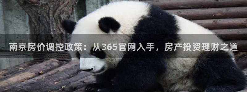 新宝5登录地址：南京房价调控政策：从365官网入手，房产投资