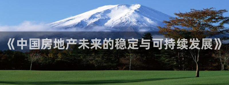新宝5登录测速中心：《中国房地产未来的稳定与可持续发展》