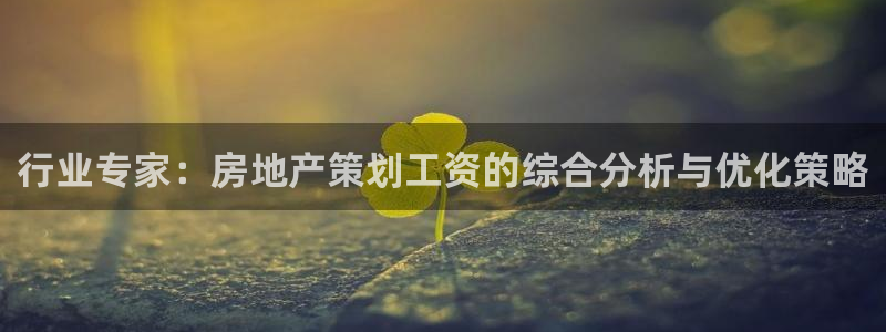 新宝5测速线路：行业专家：房地产策划工资的综合分析与优化策略