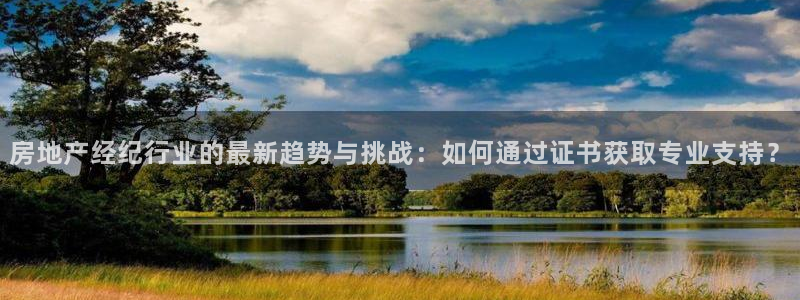 新宝5登陆地址
