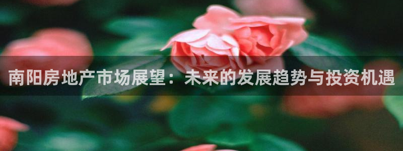 新宝5：南阳房地产市场展望：未来的发展趋势与投资机遇