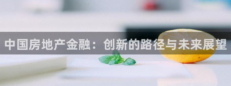 新宝5玩法：中国房地产金融：创新的路径与未来展望