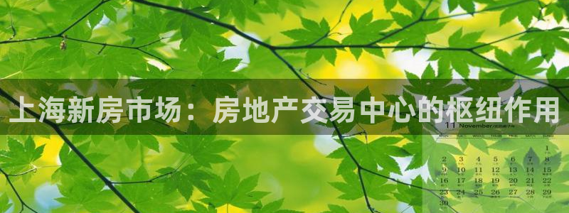 新宝5测速在线