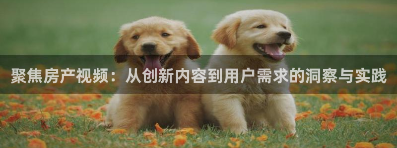 新宝5app手机下载：聚焦房产视频：从创新内容到用户需求的洞