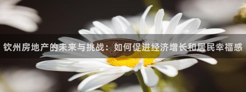 新宝5d：钦州房地产的未来与挑战：如何促进经济增长和居民幸福
