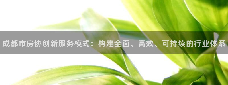 新宝5官网平台