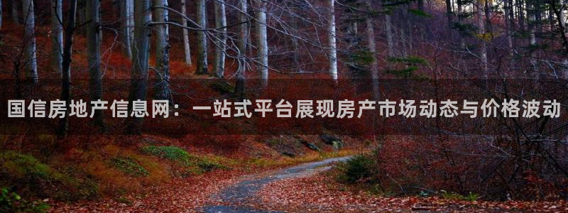新宝5登录界面：国信房地产信息网：一站式平台展现房产市场动态