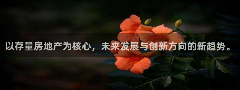 新宝5湫333 00：以存量房地产为核心，未来发展与创新方向