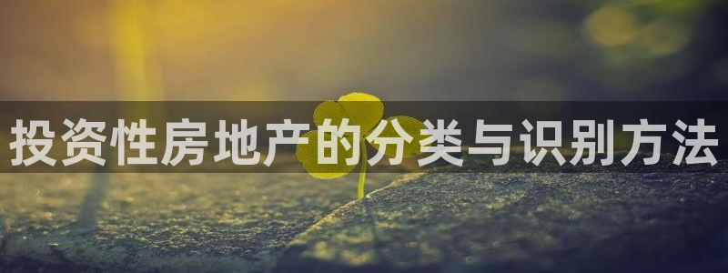 新宝5现在还能玩吗：投资性房地产的分类与识别方法