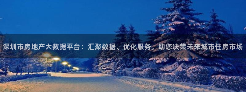 新宝rc_5w：深圳市房地产大数据平台：汇聚数据、优化服务，