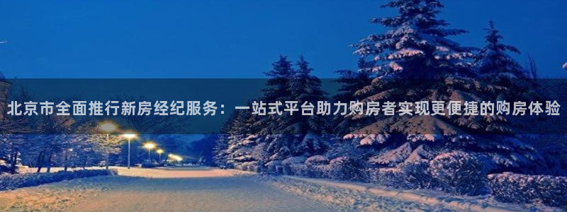 新宝5怎么下载到桌面