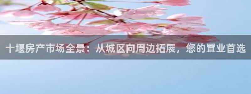 新宝5登录注册：十堰房产市场全景：从城区向周边拓展，您的置业