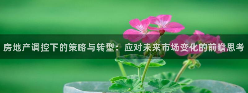 新宝5挂机软件：房地产调控下的策略与转型：应对未来市场变化的