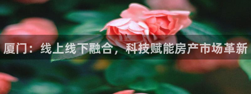 新宝5链接：厦门：线上线下融合，科技赋能房产市场革新