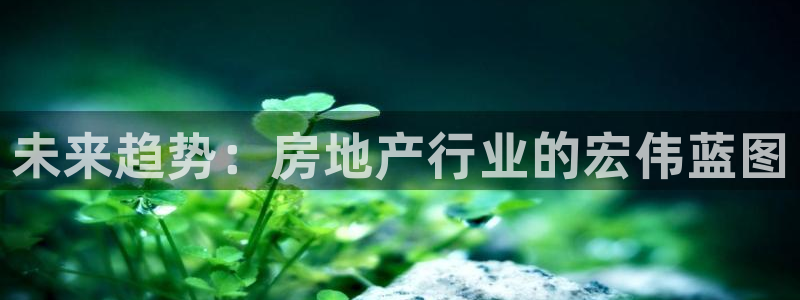 新宝5下载app