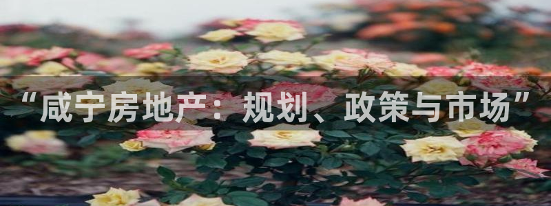 新宝5 注册：“咸宁房地产：规划、政策与市场”