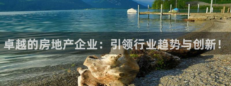 新宝5娱乐然：卓越的房地产企业：引领行业趋势与创新！