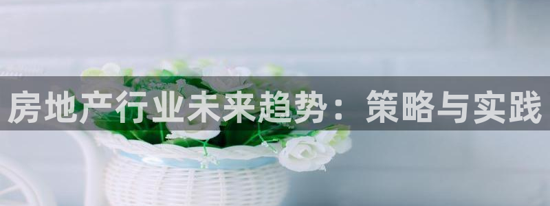 新宝5寻33 300球：房地产行业未来趋势：策略与实践