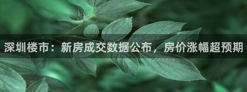 新宝股东瞧听2 5 5：深圳楼市：新房成交数据公布，房价涨幅
