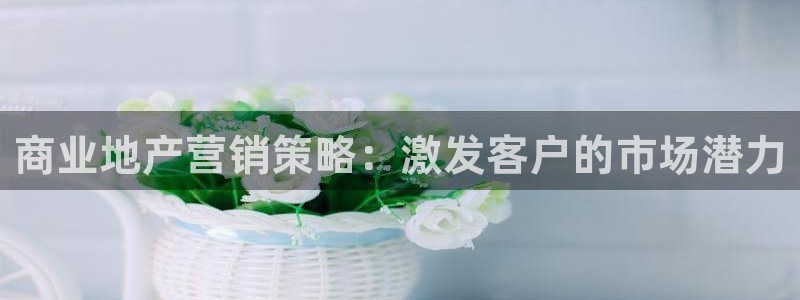 新宝5娱乐登录：商业地产营销策略：激发客户的市场潜力