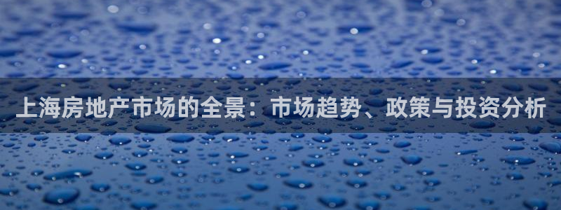 新宝5黑：上海房地产市场的全景：市场趋势、政策与投资分析