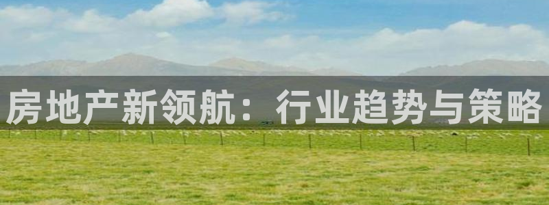 新宝5官网app
