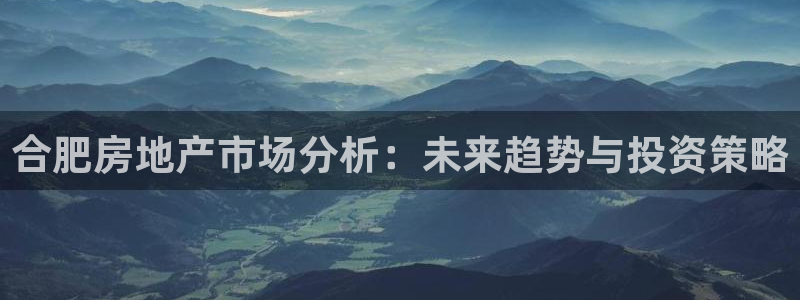 新宝5是谁的：合肥房地产市场分析：未来趋势与投资策略