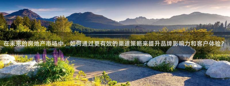 新宝5的网址：在未来的房地产市场中，如何通过更有效的渠道策略
