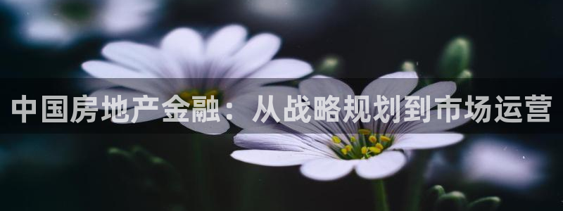 新宝5手机登录：中国房地产金融：从战略规划到市场运营
