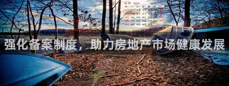 新宝6霸哥5：强化备案制度，助力房地产市场健康发展