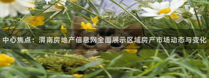 新宝5官方网站：中心焦点：渭南房地产信息网全面展示区域房产市