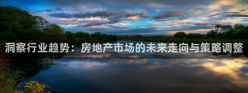 新宝5X：洞察行业趋势：房地产市场的未来走向与策略调整