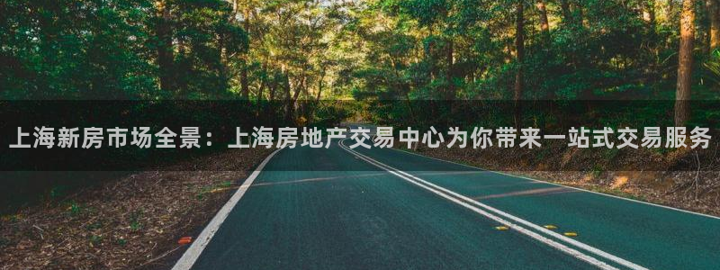 新宝5注册首页：上海新房市场全景：上海房地产交易中心为你带来