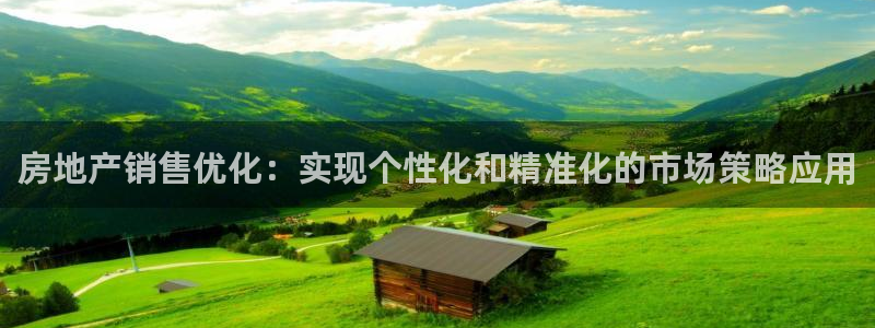 新宝奇迹GG5：房地产销售优化：实现个性化和精准化的市场策略