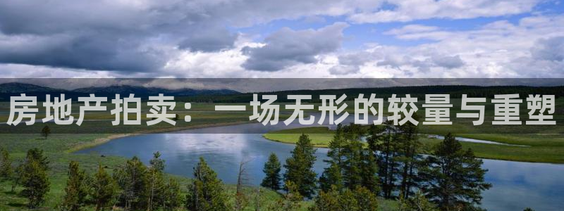 新宝5电脑登录网址：房地产拍卖：一场无形的较量与重塑