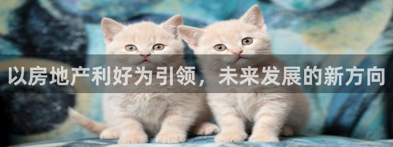 新宝5娱乐多：以房地产利好为引领，未来发展的新方向