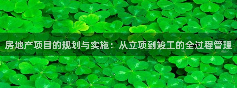 新宝5娱乐：房地产项目的规划与实施：从立项到竣工的全过程管理