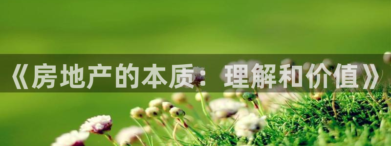 新宝5在哪里：《房地产的本质：理解和价值》