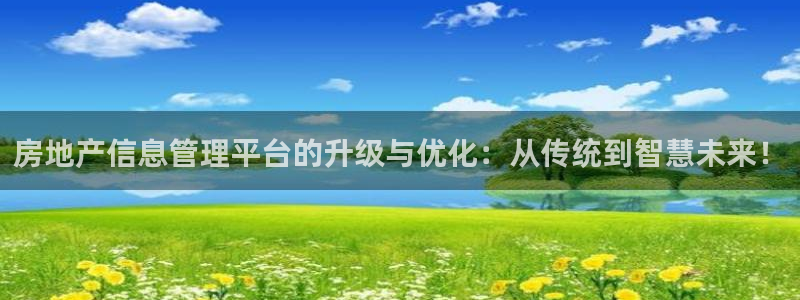 新宝集团新宝5：房地产信息管理平台的升级与优化：从传统到智慧