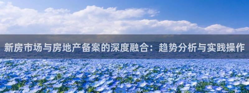 新5宝：新房市场与房地产备案的深度融合：趋势分析与实践操作